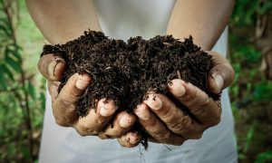 AgroPublic | Δίπλα στον αγρότη, καθημερινά αγροτικά νέα, γεωπονικές δημοσιεύσεις | unnamed 3