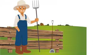 AgroPublic | Δίπλα στον αγρότη, καθημερινά αγροτικά νέα, γεωπονικές δημοσιεύσεις | 0050097905 00000bb