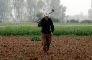 AgroPublic | Δίπλα στον αγρότη, καθημερινά αγροτικά νέα, γεωπονικές δημοσιεύσεις | 1602252292 0 agrotes1 1804