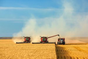 AgroPublic | Δίπλα στον αγρότη, καθημερινά αγροτικά νέα, γεωπονικές δημοσιεύσεις | SXEDIA