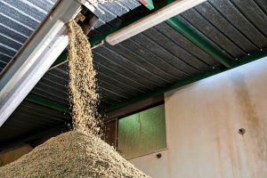 AgroPublic | Δίπλα στον αγρότη, καθημερινά αγροτικά νέα, γεωπονικές δημοσιεύσεις | a1