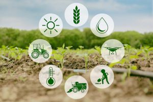 AgroPublic | Δίπλα στον αγρότη, καθημερινά αγροτικά νέα, γεωπονικές δημοσιεύσεις | farm agri business
