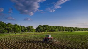 | agrotes metapoihsh 2 5 17