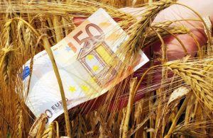 AgroPublic | Δίπλα στον αγρότη, καθημερινά αγροτικά νέα, γεωπονικές δημοσιεύσεις | 1608571216 0 epidotiseis 1305