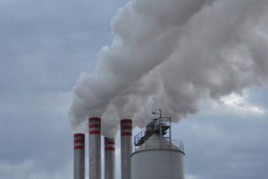 AgroPublic | Δίπλα στον αγρότη, καθημερινά αγροτικά νέα, γεωπονικές δημοσιεύσεις | 485812c374be5e783518a16fa28e4b36 XL