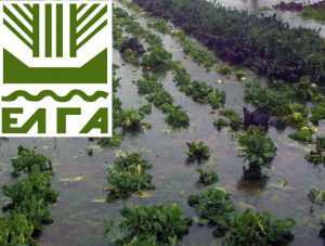 AgroPublic | Δίπλα στον αγρότη, καθημερινά αγροτικά νέα, γεωπονικές δημοσιεύσεις | ELGA