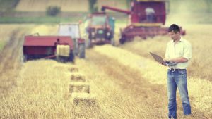 AgroPublic | Δίπλα στον αγρότη, καθημερινά αγροτικά νέα, γεωπονικές δημοσιεύσεις | PAA