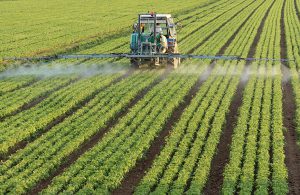AgroPublic | Δίπλα στον αγρότη, καθημερινά αγροτικά νέα, γεωπονικές δημοσιεύσεις | 1528104262 0 mk