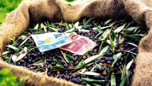 AgroPublic | Δίπλα στον αγρότη, καθημερινά αγροτικά νέα, γεωπονικές δημοσιεύσεις | 1796 0 700 3