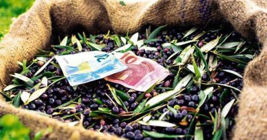 ΟΠΕΚΕΠΕ: Τι αλλάζει στους ελέγχους για τις επιδοτήσεις, βγήκε η εγκύκλιος ΟΠΕΚΕΠΕ: Τι αλλάζει στους ελέγχους για τις επιδοτήσεις, βγήκε η εγκύκλιος