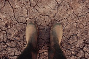 AgroPublic | Δίπλα στον αγρότη, καθημερινά αγροτικά νέα, γεωπονικές δημοσιεύσεις | 190923 climate change dust bowl soil health soil organic matter 2