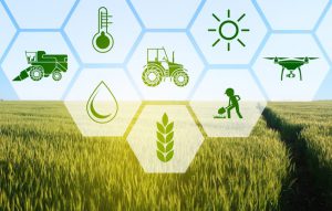 AgroPublic | Δίπλα στον αγρότη, καθημερινά αγροτικά νέα, γεωπονικές δημοσιεύσεις | Precision Farming Agriculture Symbols