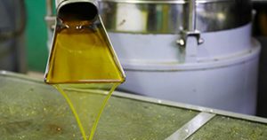 AgroPublic | Δίπλα στον αγρότη, καθημερινά αγροτικά νέα, γεωπονικές δημοσιεύσεις | elaiolado