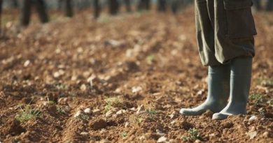 Ο αγροτικός τομέας μετά την κρίση του COVID-19 Ο αγροτικός τομέας μετά την κρίση του COVID-19