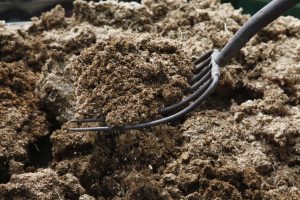 AgroPublic | Δίπλα στον αγρότη, καθημερινά αγροτικά νέα, γεωπονικές δημοσιεύσεις | kopria e1522080556224