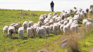 AgroPublic | Δίπλα στον αγρότη, καθημερινά αγροτικά νέα, γεωπονικές δημοσιεύσεις | 720 09f4e70625a66d7a3c2b44e4aa00ea6e