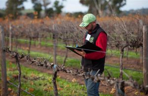 AgroPublic | Δίπλα στον αγρότη, καθημερινά αγροτικά νέα, γεωπονικές δημοσιεύσεις | asfalstikoooneosagrotis
