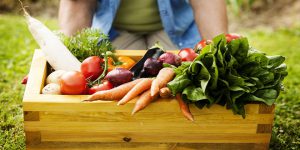 AgroPublic | Δίπλα στον αγρότη, καθημερινά αγροτικά νέα, γεωπονικές δημοσιεύσεις | biologikaa
