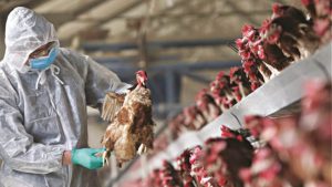 AgroPublic | Δίπλα στον αγρότη, καθημερινά αγροτικά νέα, γεωπονικές δημοσιεύσεις | crqso1579094430778