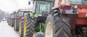 AgroPublic | Δίπλα στον αγρότη, καθημερινά αγροτικά νέα, γεωπονικές δημοσιεύσεις | farmersontheroad 177864440