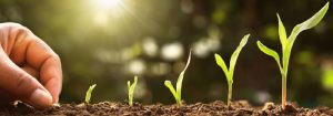 AgroPublic | Δίπλα στον αγρότη, καθημερινά αγροτικά νέα, γεωπονικές δημοσιεύσεις | mano siembra semilla maiz medula huerto sol 34152 1616