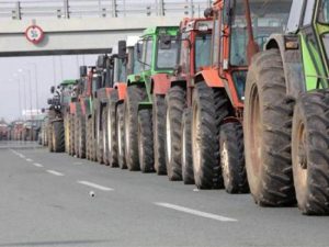 AgroPublic | Δίπλα στον αγρότη, καθημερινά αγροτικά νέα, γεωπονικές δημοσιεύσεις | mploka 14