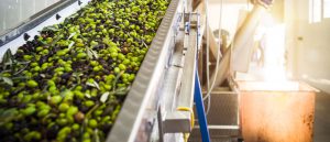AgroPublic | Δίπλα στον αγρότη, καθημερινά αγροτικά νέα, γεωπονικές δημοσιεύσεις | photo 1009739080 elia paragwgh