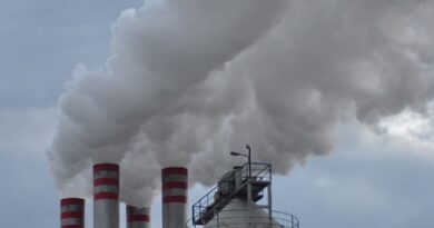 Πελοπόννησος : Σύμβαση για την αντιμετώπιση της ρύπανσης από τα πυρηνελαιουργεία Πελοπόννησος : Σύμβαση για την αντιμετώπιση της ρύπανσης από τα πυρηνελαιουργεία