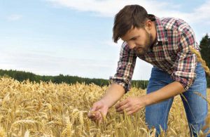 AgroPublic | Δίπλα στον αγρότη, καθημερινά αγροτικά νέα, γεωπονικές δημοσιεύσεις | thumbnail