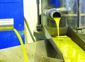 AgroPublic | Δίπλα στον αγρότη, καθημερινά αγροτικά νέα, γεωπονικές δημοσιεύσεις | 52a9f191d8d31db53aea389371883cea XL