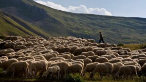 AgroPublic | Δίπλα στον αγρότη, καθημερινά αγροτικά νέα, γεωπονικές δημοσιεύσεις | ktinotrofoi 0