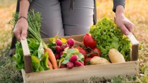 AgroPublic | Δίπλα στον αγρότη, καθημερινά αγροτικά νέα, γεωπονικές δημοσιεύσεις | ofeli pistopoiisis biologikon proionton 1