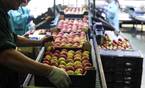AgroPublic | Δίπλα στον αγρότη, καθημερινά αγροτικά νέα, γεωπονικές δημοσιεύσεις | Εξαγωγές Φρούτων 1