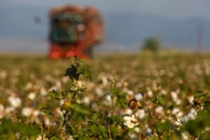 AgroPublic | Δίπλα στον αγρότη, καθημερινά αγροτικά νέα, γεωπονικές δημοσιεύσεις | 14322506 GRE11824748 1