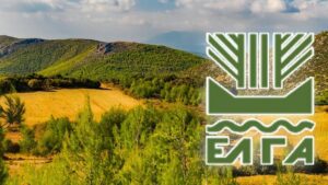 AgroPublic | Δίπλα στον αγρότη, καθημερινά αγροτικά νέα, γεωπονικές δημοσιεύσεις | 3039782 1