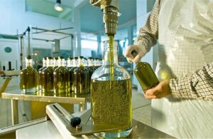 AgroPublic | Δίπλα στον αγρότη, καθημερινά αγροτικά νέα, γεωπονικές δημοσιεύσεις | PELOP OLIVES 1 1
