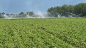 AgroPublic | Δίπλα στον αγρότη, καθημερινά αγροτικά νέα, γεωπονικές δημοσιεύσεις | XORAFIKALLIERGIA 1