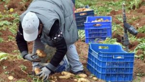 AgroPublic | Δίπλα στον αγρότη, καθημερινά αγροτικά νέα, γεωπονικές δημοσιεύσεις | agrotes ergates gis xorafi ape 1