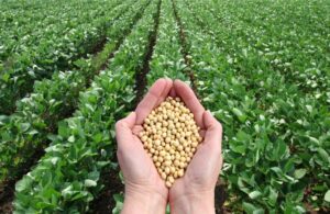 AgroPublic | Δίπλα στον αγρότη, καθημερινά αγροτικά νέα, γεωπονικές δημοσιεύσεις | agrotiki anaptixi 0506 1