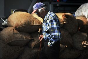 AgroPublic | Δίπλα στον αγρότη, καθημερινά αγροτικά νέα, γεωπονικές δημοσιεύσεις | agrotis syntaxi 3 1