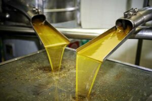 AgroPublic | Δίπλα στον αγρότη, καθημερινά αγροτικά νέα, γεωπονικές δημοσιεύσεις | eed7d02ad204418109426eec370937fd L 1