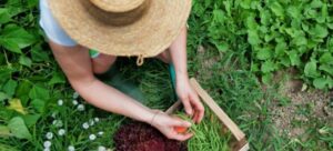 AgroPublic | Δίπλα στον αγρότη, καθημερινά αγροτικά νέα, γεωπονικές δημοσιεύσεις | foto typos080321 e1615277469827 1