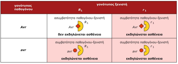 Το ανοσοποιητικό σύστημα των φυτών, μηχανισμοί άμυνας AgroPublic AgroPublic | image