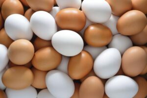 AgroPublic | Δίπλα στον αγρότη, καθημερινά αγροτικά νέα, γεωπονικές δημοσιεύσεις | leyka i kafe avga 1 1200x801 1 1
