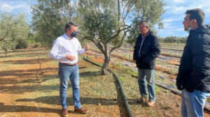 AgroPublic | Δίπλα στον αγρότη, καθημερινά αγροτικά νέα, γεωπονικές δημοσιεύσεις | pmantas trifylia xalazi 31 03 2021 3 c 950x533 1 1