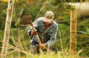AgroPublic | Δίπλα στον αγρότη, καθημερινά αγροτικά νέα, γεωπονικές δημοσιεύσεις | thumbnail 1