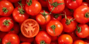 AgroPublic | Δίπλα στον αγρότη, καθημερινά αγροτικά νέα, γεωπονικές δημοσιεύσεις | tomatoes ntomates syntirisi cover 1200x600 1 1
