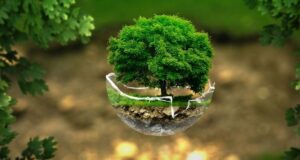 AgroPublic | Δίπλα στον αγρότη, καθημερινά αγροτικά νέα, γεωπονικές δημοσιεύσεις | ΠΕΡΙΒΑΛΛΟΝ 900x480 1 1