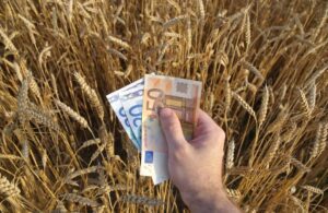 AgroPublic | Δίπλα στον αγρότη, καθημερινά αγροτικά νέα, γεωπονικές δημοσιεύσεις | 1606842106 0 pliromes 1709