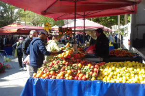 AgroPublic | Δίπλα στον αγρότη, καθημερινά αγροτικά νέα, γεωπονικές δημοσιεύσεις | 202004251001500399